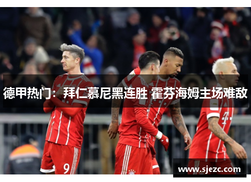 德甲热门：拜仁慕尼黑连胜 霍芬海姆主场难敌